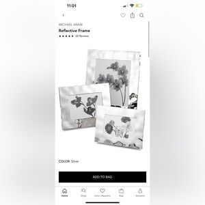 Micheal Aram reflective picture frame